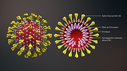 3D medical animation corona virus